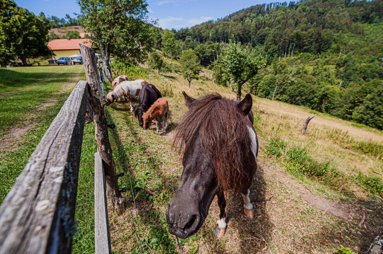 شقة Eko Pony Ranch Ogrizek بوتْشيترتيك المظهر الخارجي الصورة