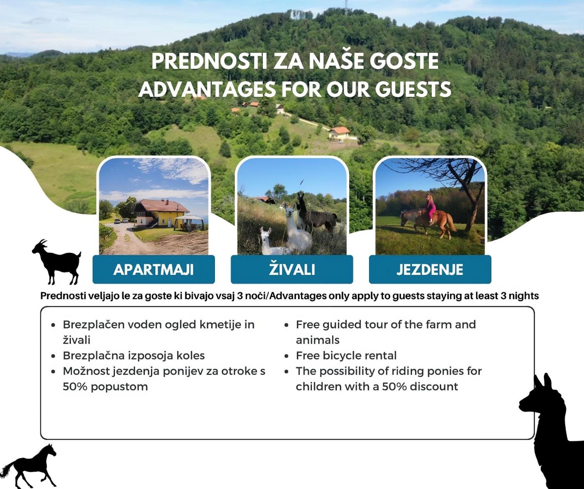 شقة Eko Pony Ranch Ogrizek بوتْشيترتيك المظهر الخارجي الصورة